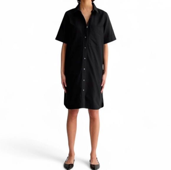 Everlane The Oxford Shirt Dress - Picture 6 of 12